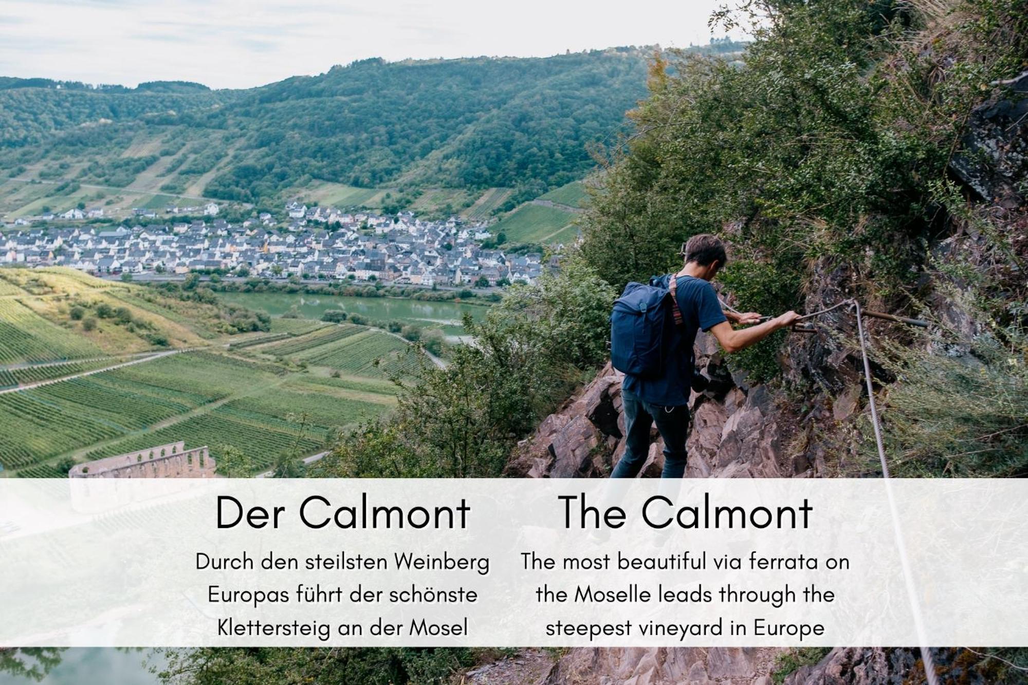 Winzerhaus Am Calmont - Raumwunder Mit Moselblick